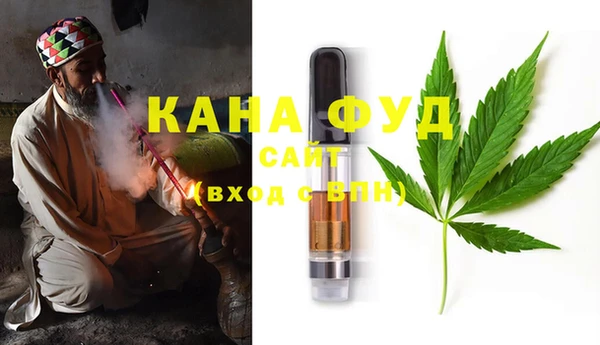 шишки Инта
