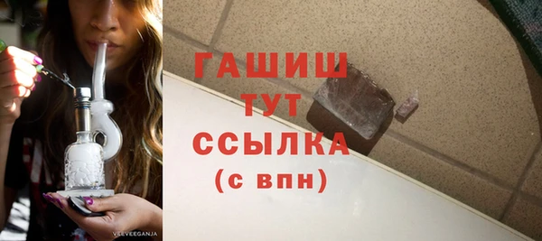 шишки Инта