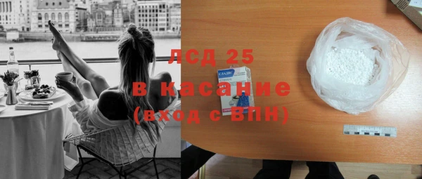 шишки Инта