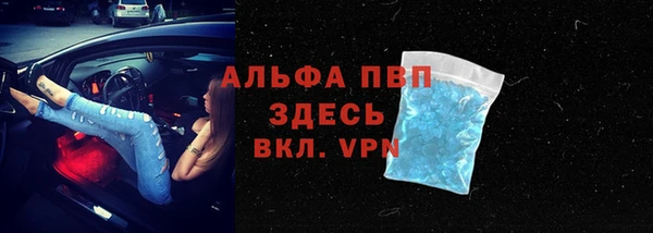 шишки Инта