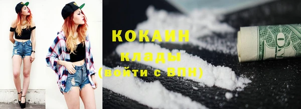 шишки Инта