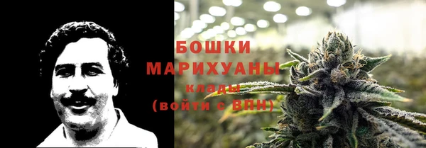 шишки Инта