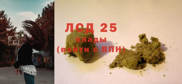 шишки Инта