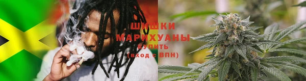 дурь Инсар