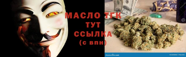 шишки Инта