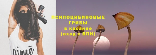 гашик Каменногорск