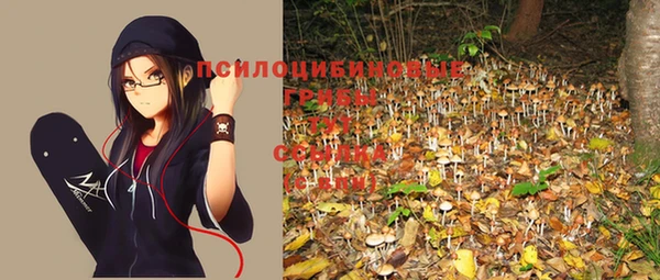 мет Каменка