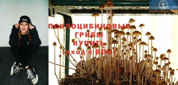 шишки Инта