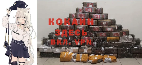 гашик Каменногорск
