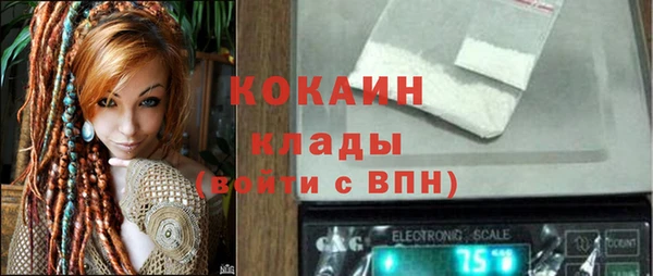 шишки Инта