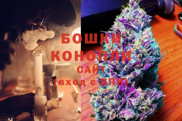 дурь Инсар