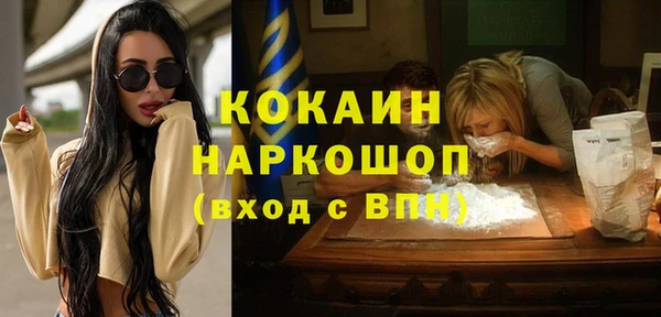 шишки Инта