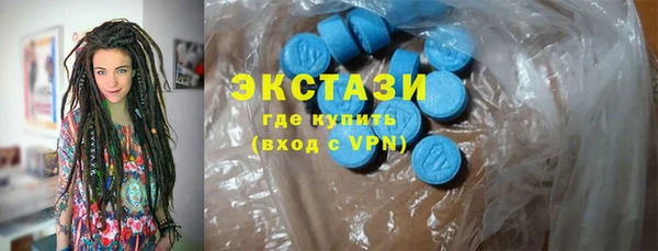 шишки Инта