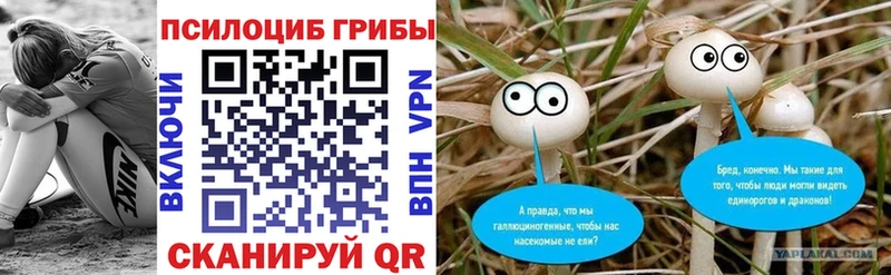 Купить где  Березники  Галлюциногенные грибы MAGIC MUSHROOMS 